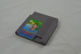 Open Tournament Golf NES Spiel