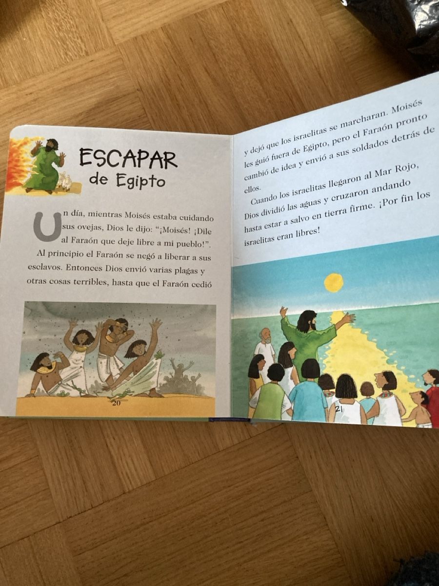 Libri: Mi primera biblia – Usato da Umiken venduto da hope2008 2