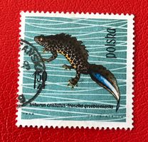 Briefmarken aus Polen  gestempelt.  Siehe Original Fotos. ﻿ 
