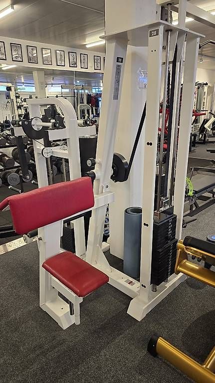 Gym80 Hometrainer: Bizepsmaschine Gym80 – Usato da Mauren venduto da ehr_5cy6 1