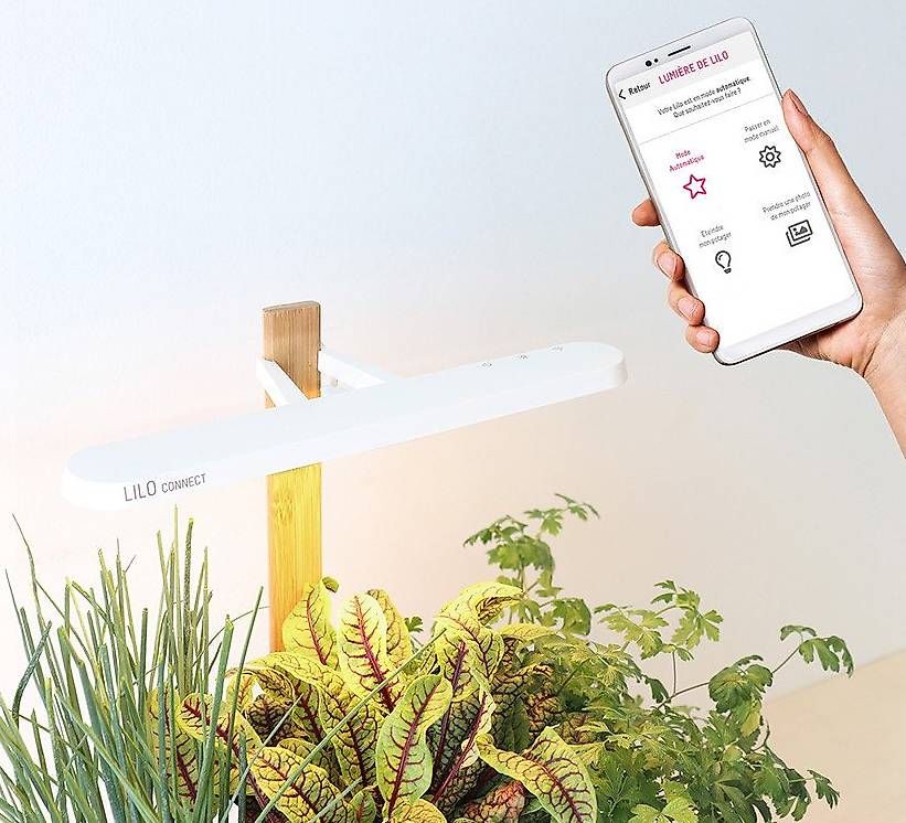 Vasi per fiori: Lilo Connect Indoor-Kräutergarten – Usato da Bern venduto da Remy0 1