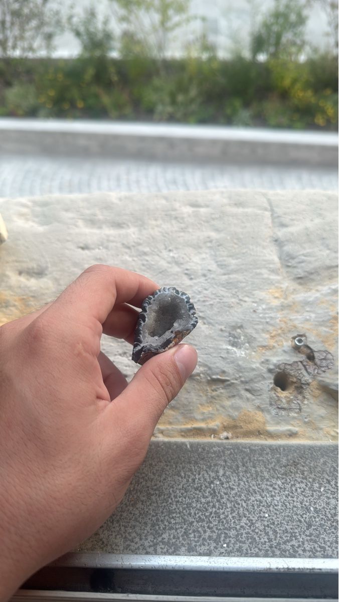 Minerali & Pietre curative: Geode Stein dunkelgrau mit Kristallfüllung – Usato da Bad Zurzach venduto da jan_mc2f