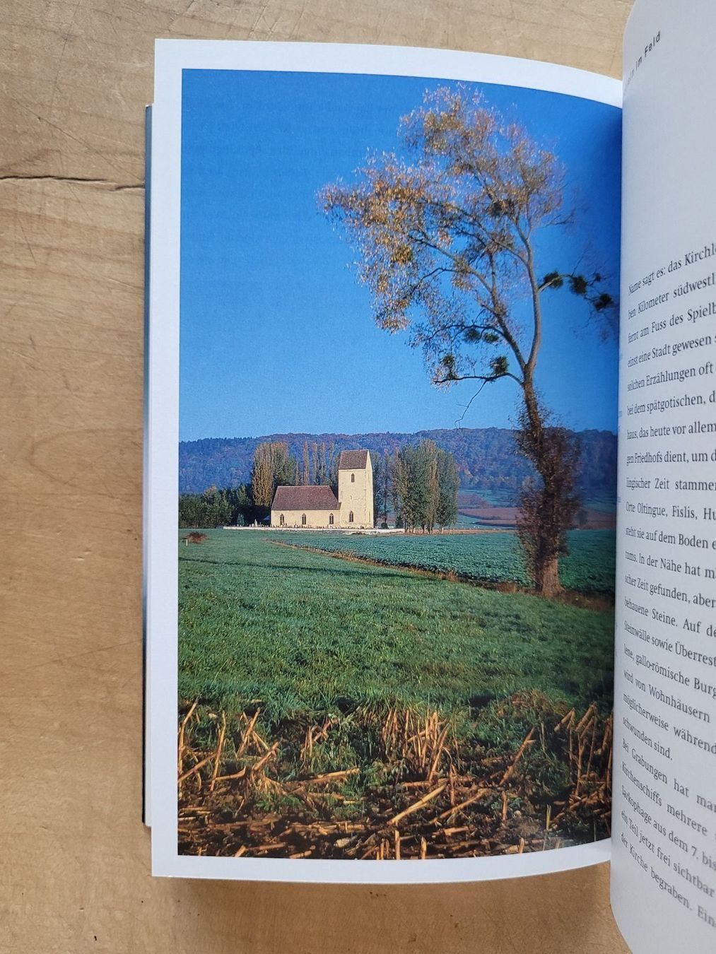 Libri: Mythische Orte am Oberrhein – Usato da Zürich venduto da Engiadinabassa 8