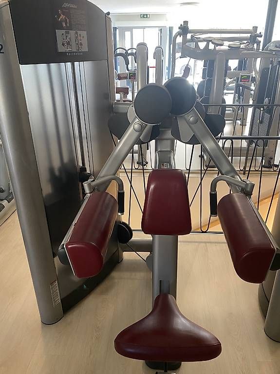 Hometrainer: Lifefitness  – Usato da Laupen ZH venduto da Rango3 2