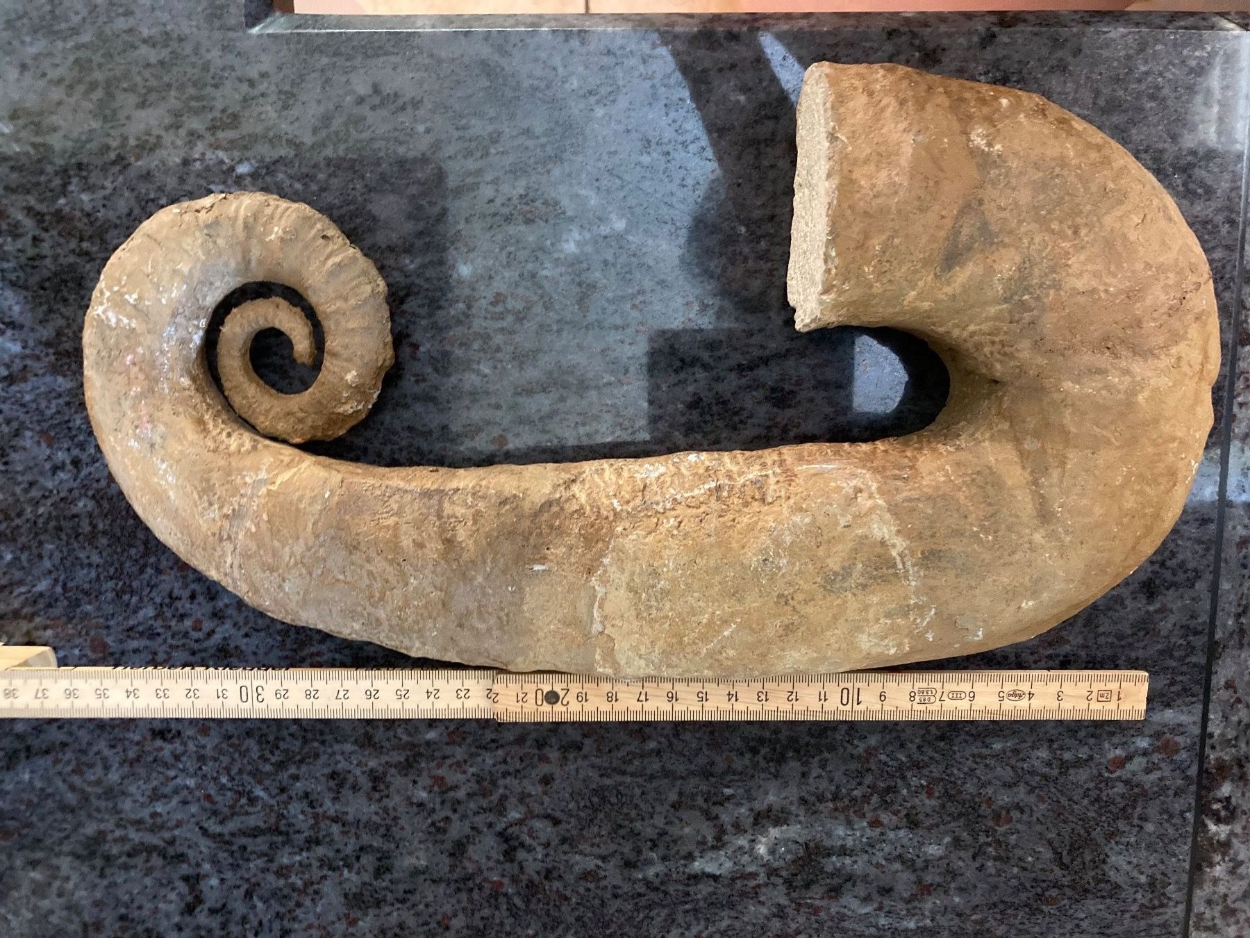 Fossilien: Amonit – Gebraucht aus Grasswil von Maria054 2