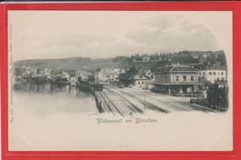 Wädenswil mit Bahnhof   -   alte Ansichtkarte um 1900