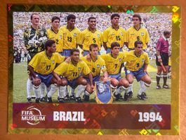 Panini FWC15