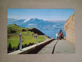 Partie Wanderweg Rigi Staffel Rigi Kulm mit See und Pilatus