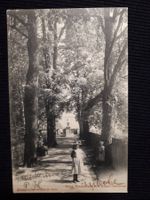 ZURICH 1903 - ANIMIERT