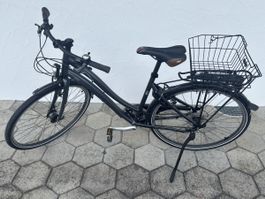Globe Damenfahrrad