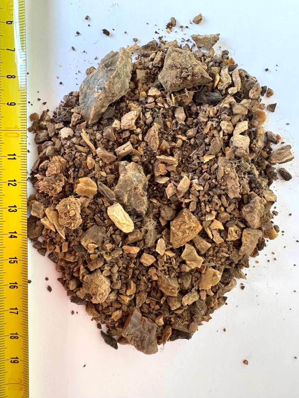 Fossilien: Bernstein    wood amber     winzige Splitter  Sand – Neu und originalverpackt aus Leuggern von gemshow 2