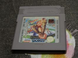 Dennis GAMEBOY