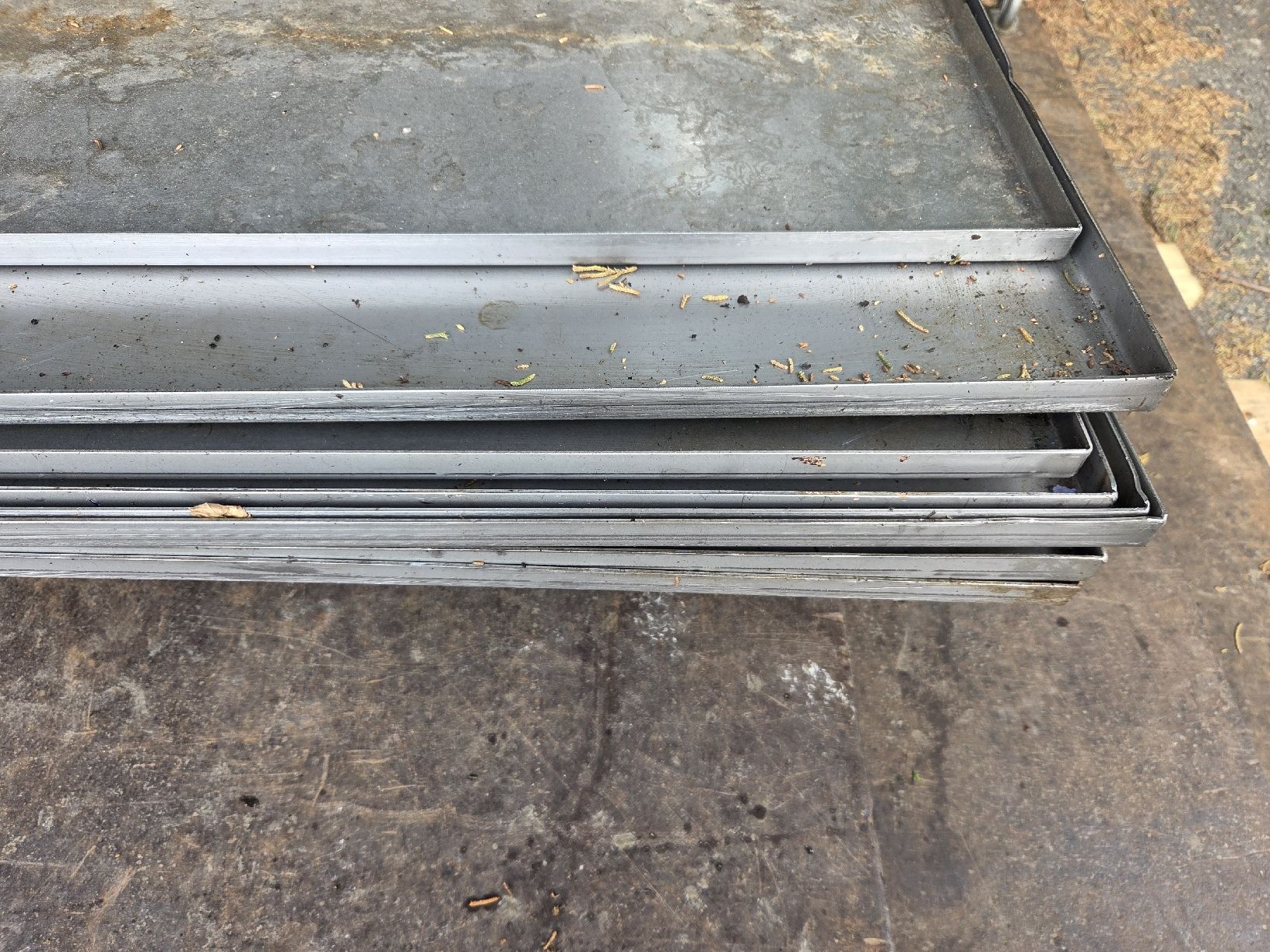 Piatti di portata: Inox Blechwannen 2m 6 Stk. – Usato da Oberdorf SO venduto da miso33 4