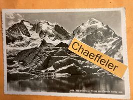 Piz Bernina u. Roseg von Furcla Surley