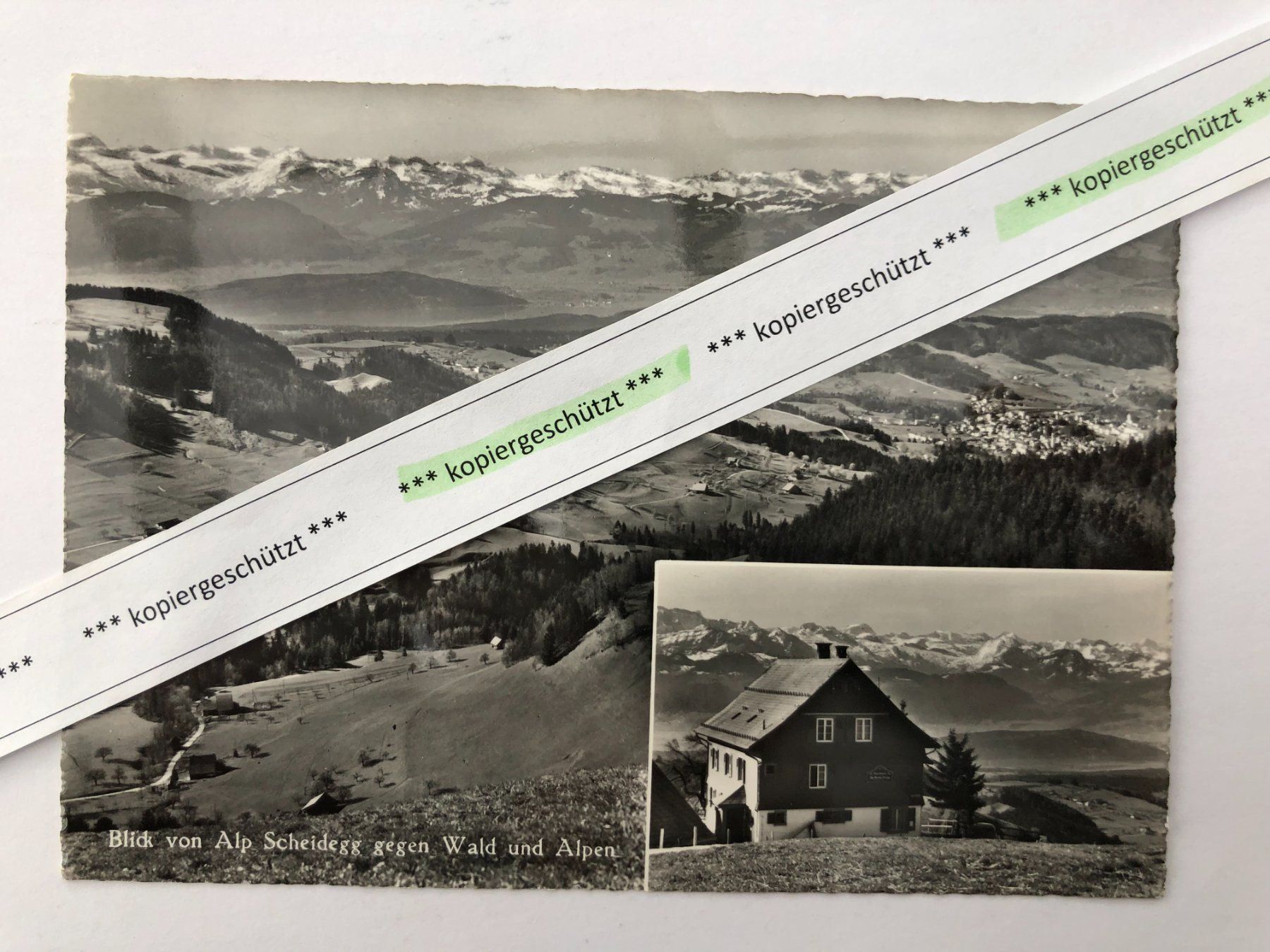 Cartoline postali: Wald ZH, Alp Scheidegg mit Alpen AK – Usato da Hefenhofen venduto da Bierinder
