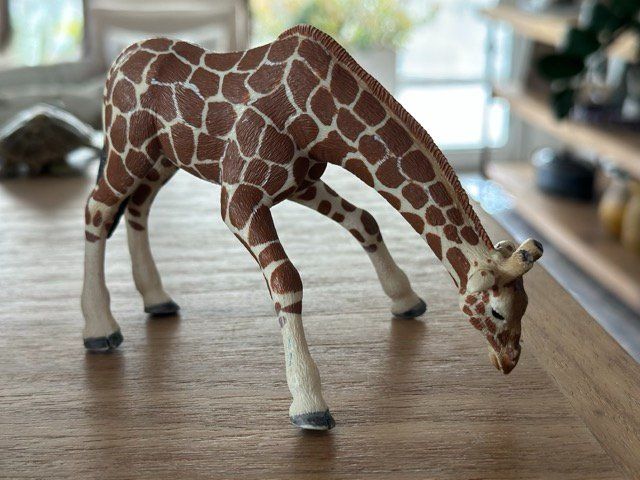 Schleich Statuette: Schleich Erwachsene Giraffe Sammelfigur – Usato da Fällanden venduto da SafariSchleichCH