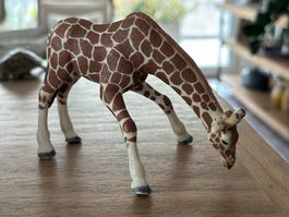 Schleich Erwachsene Giraffe Sammelfigur