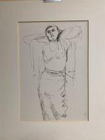 Ticino - Cornelia Foster