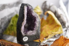 Die (vielleicht) 2kleinste Amethyst-Druse der Welt!💜 Minas