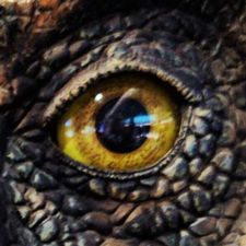 Profile image of Jurasstic