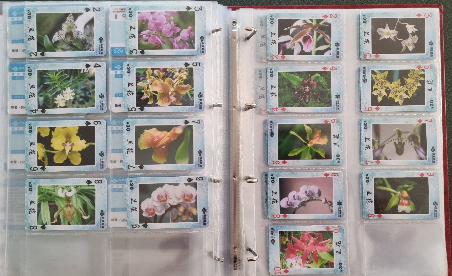 Album: Album 1 Telefonkarten Orchideen – Usato da Lostorf venduto da Dalbi 8
