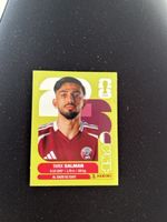 Panini QAT 8
