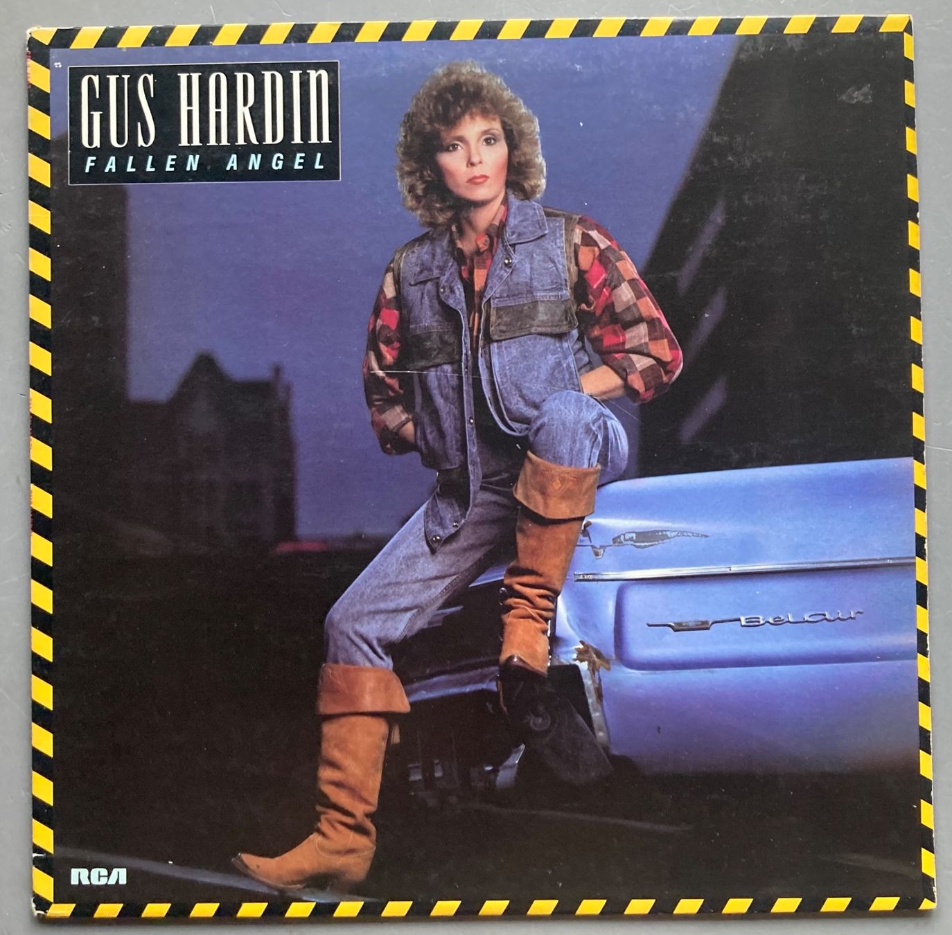 Dischi in vinile: GUS HARDIN - FALLEN ANGEL – Usato da Poliez-Pittet venduto da Newtown-Records