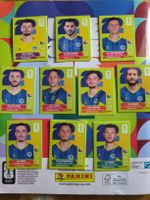 Panini BIH Set