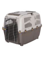 Transportbox für Hunde 🐶 - Top Zustand