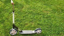Kickboard Scooter Motion mit grossen Räder