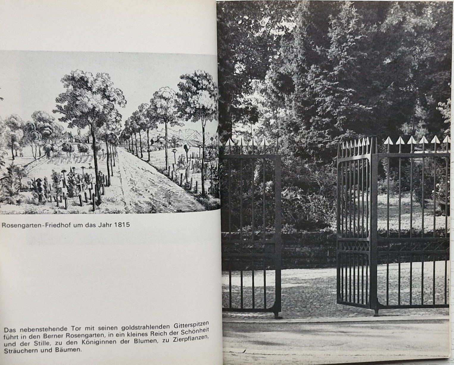 Libri: ROSENGARTEN: der schönste Aussichtspunkt auf Bern – Usato da Bern venduto da Mattthias 1