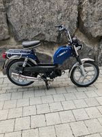 Pony GTX mit Ausweis