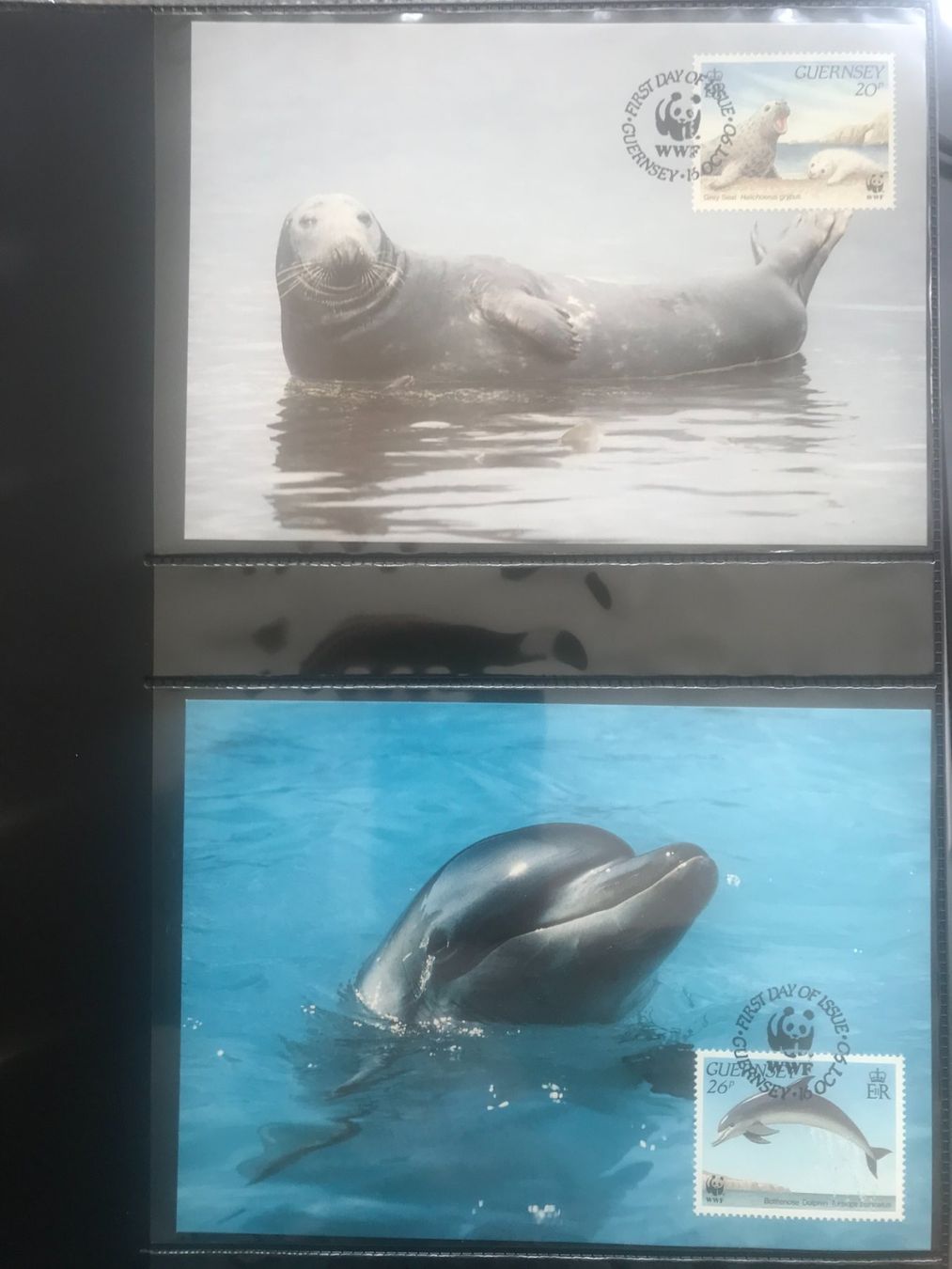 Tutti i francobolli: WWF Guernsey 1990 Satz Delfin Robbe Hai Orca Maximumkarten – Nuovo (secondo la descrizione) da Winterthur venduto da schnueps