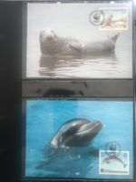 WWF Guernsey 1990 Satz Delfin Robbe Hai Orca Maximumkarten