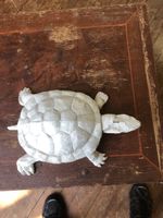 schildkröten Figur