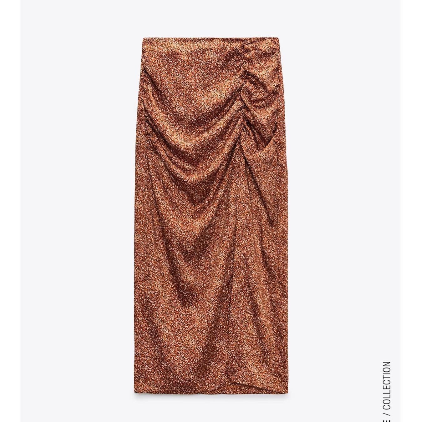 Vestiti & Gonne: Zara skirt – Nuovo (secondo la descrizione) da Opfikon venduto da til_t7ww
