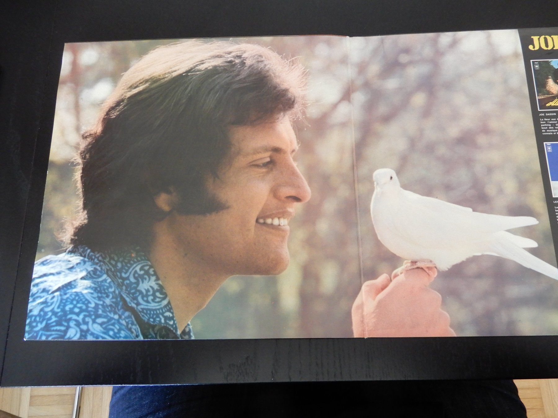 Dischi in vinile: Joe Dassin – Joe Dassin – Usato da Erstfeld venduto da Mario_boe0 1