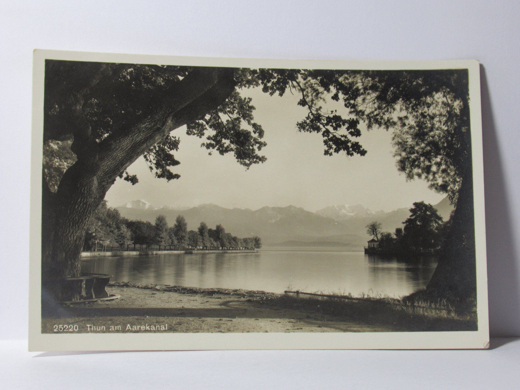 Cartoline postali: Thun am Aarekanal – Nuovo (secondo la descrizione) da Grenchen venduto da Bluemchen1900