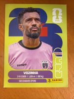 Panini CPV2