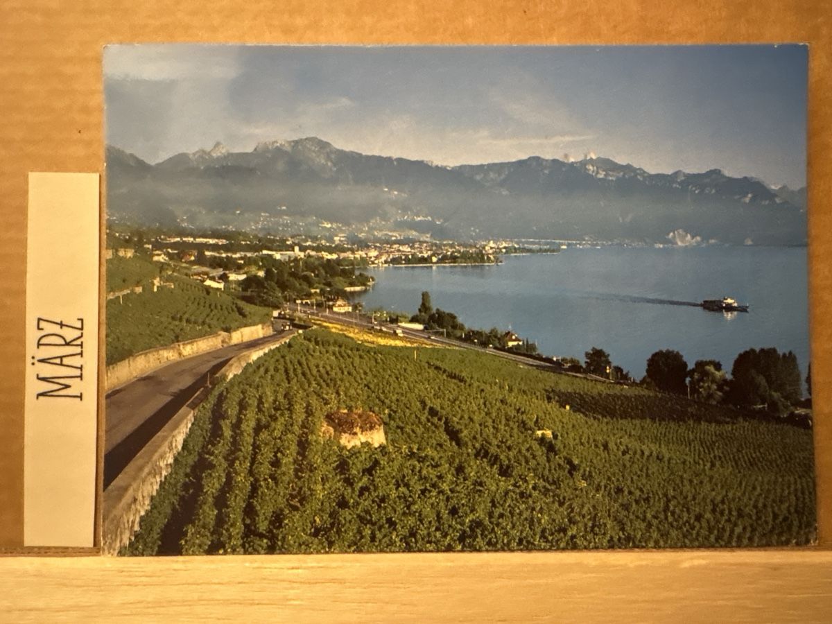 Cartoline postali: AK von Lavaux – Usato da Rümlang venduto da Kartenpost1