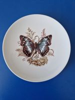 Wandteller Hasler Schmetterling: Grosser Schillerfalter