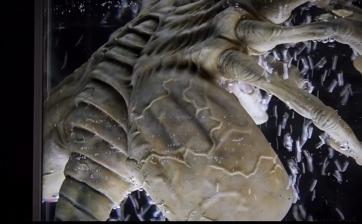 Figuren: Alien Facehugger Stasis Chamber Life Size 1/1 Statue – Neu und originalverpackt aus Zürich von Addii 2