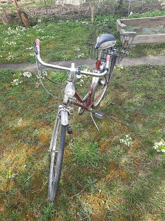 Biciclette: Damenvelo – Usato da Solothurn venduto da j273 1