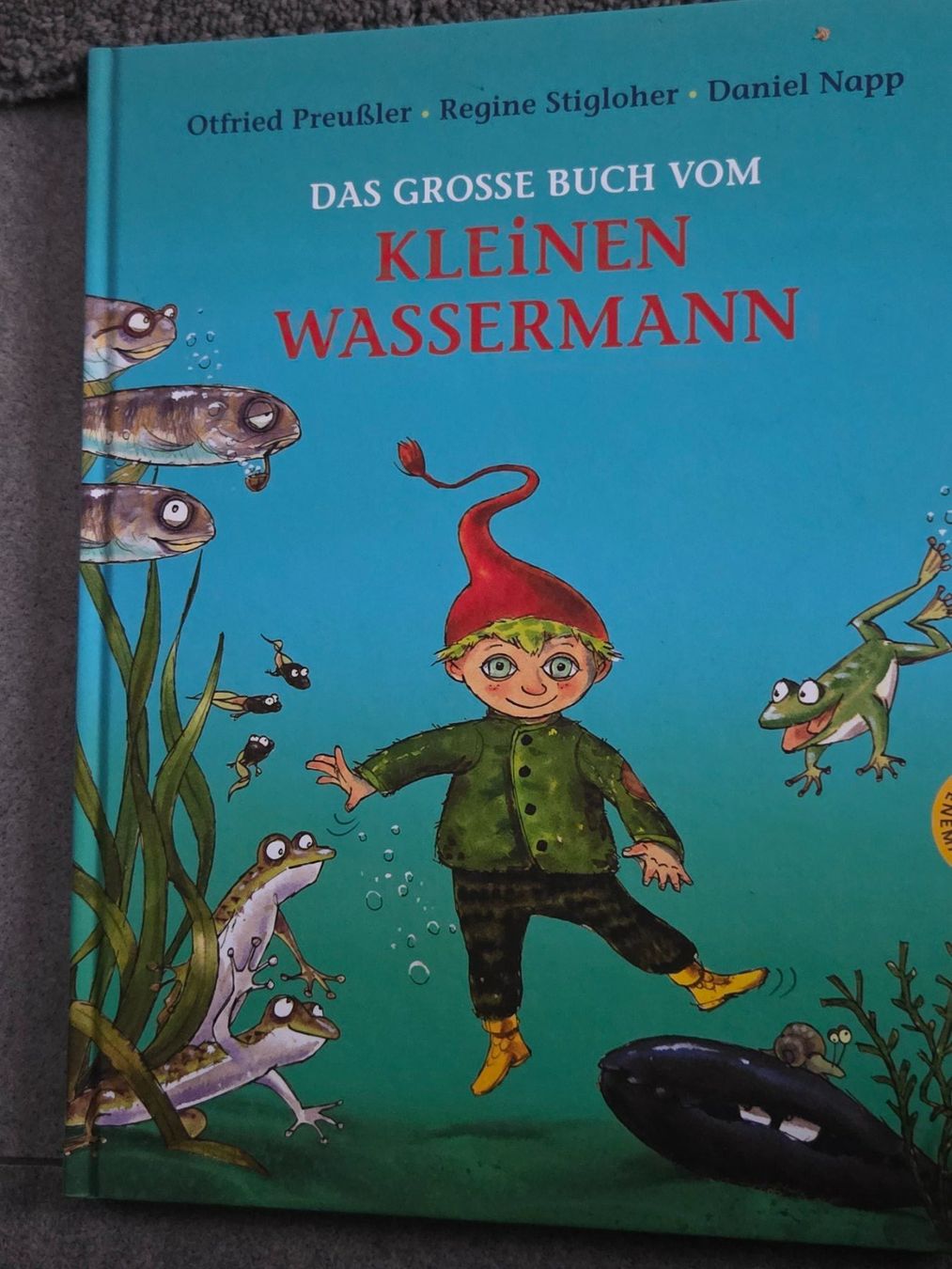 Libri: Das grosse Buch vom kleinen Wassermann – Usato da Münsingen venduto da Sokilein