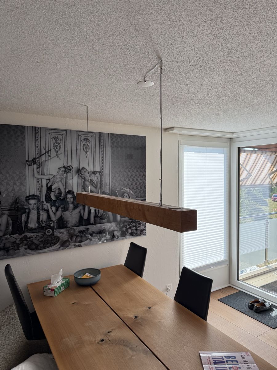Lampadari & plafoniere: Designer Hängelampe Rocket – Usato da Oberwil-Lieli venduto da tredstone 2
