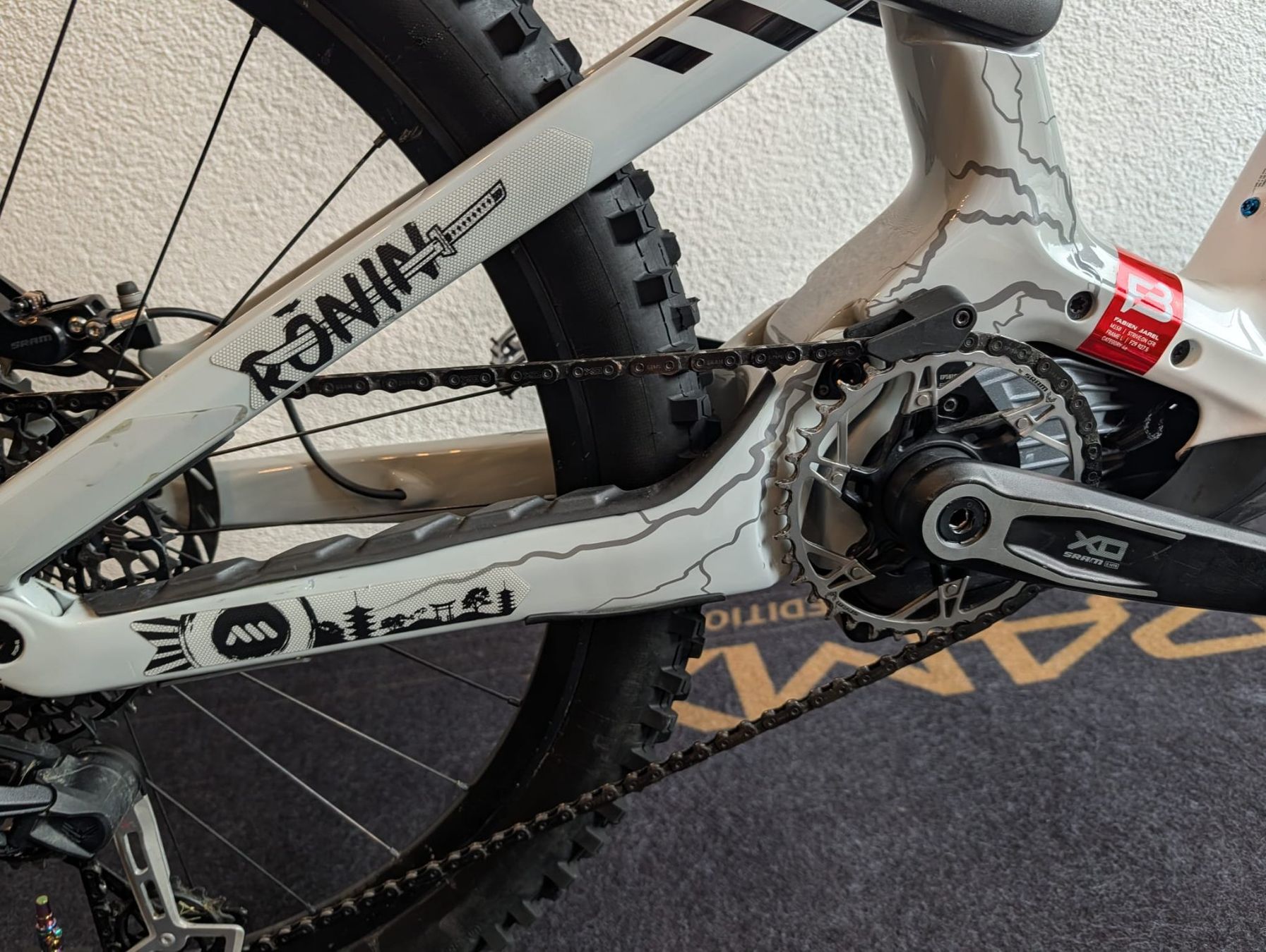 Canyon Biciclette: Canyon Strive On CFR LTD Enduro MTB EMTB – Usato da Ziefen venduto da OLDSCHOOL_MTB 6