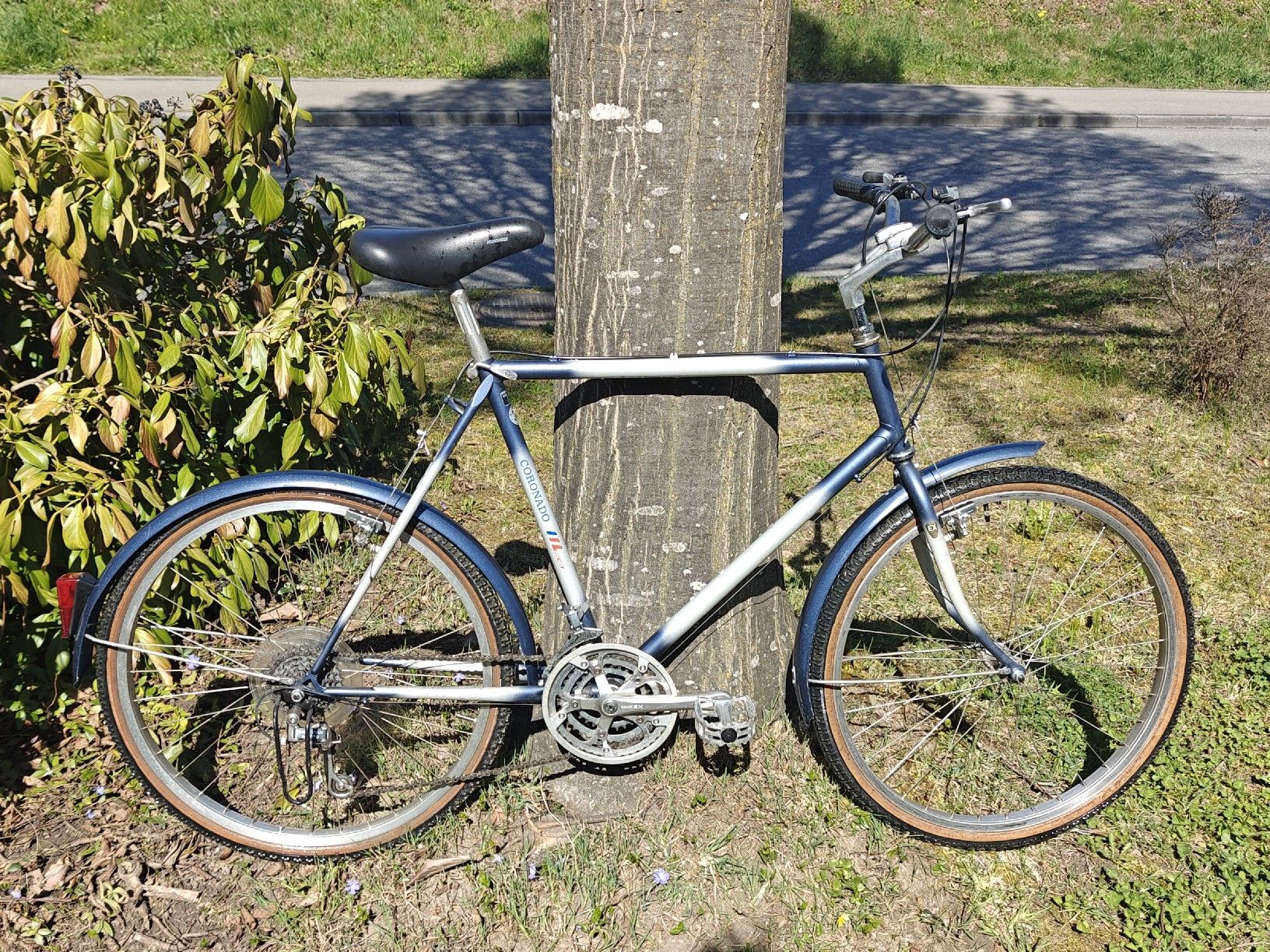 Biciclette: Velo Coronado vintage MTB – Usato da Sempach venduto da sam_z6d2 8