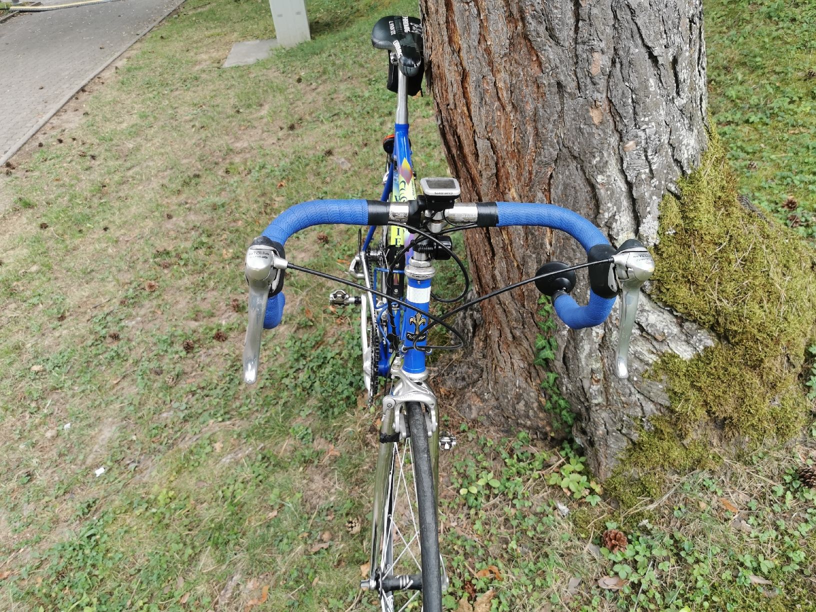 Velos: Wilier Rennvelo  – Gebraucht aus Schwerzenbach von rao_m26t 4