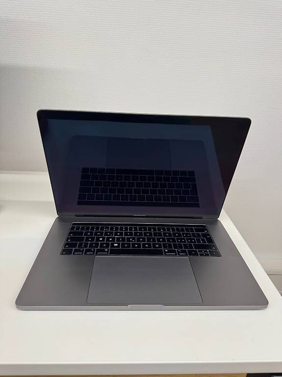 Apple Notebooks: MacBook Pro 2018 15", 16GB RAM, 512GB – Gebraucht aus St. Gallen von egzon_navit