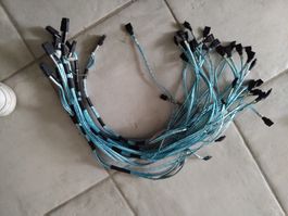 1x Câble SAS vers SATA, SFF-8086 vers 4 x SATA (femelle)